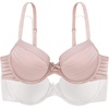 image:imageDORINA Louise Womens 34 Cup Light Padded Underwire TShirt Demi Bra Set  Packs of 2 pcs D17173  BlushIvory  32C
